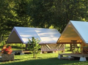 Accueil - Camping Du Hérisson - Détendez-vous Dans Un Cadre Naturel